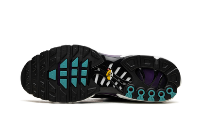 Nike Air Max Plus Reverse Grape 