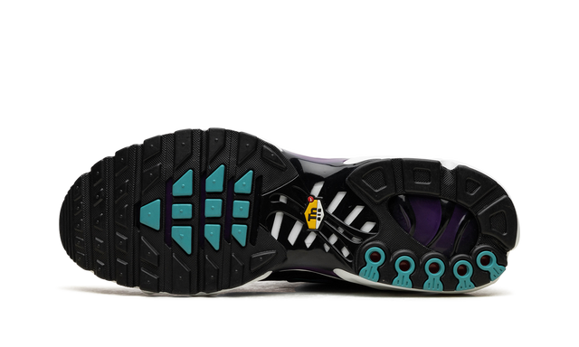 Nike Air Max Plus Reverse Grape 
