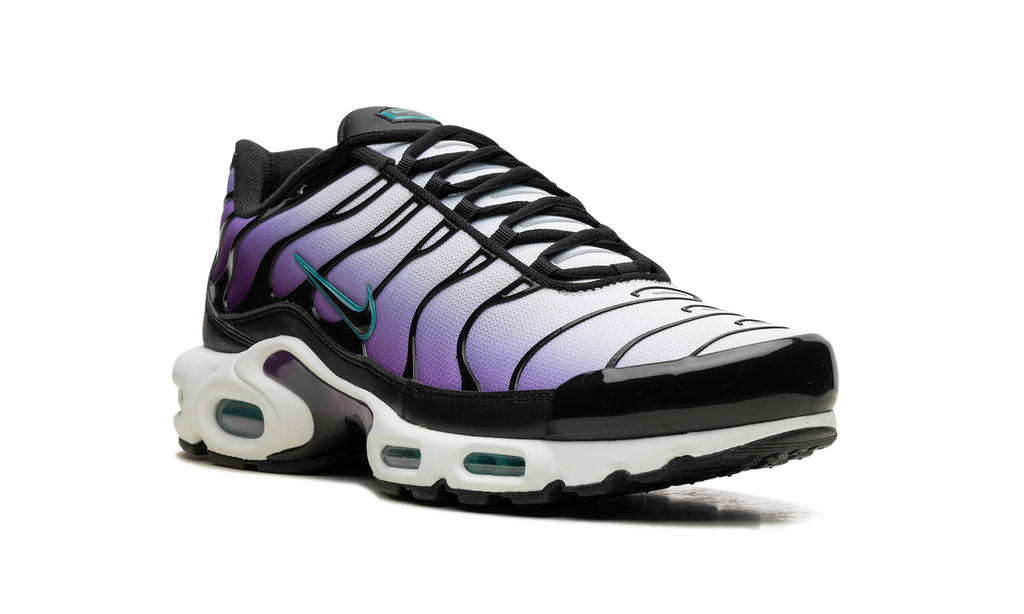 Nike Air Max Plus Reverse Grape 